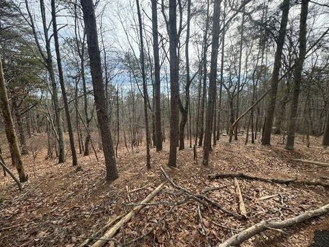 Vacant Land For Sale - 117 Leopard Court<br/> Waleska, GA 30183