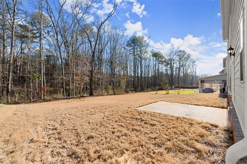 485 St Annes Place, Covington, Georgia image 49
