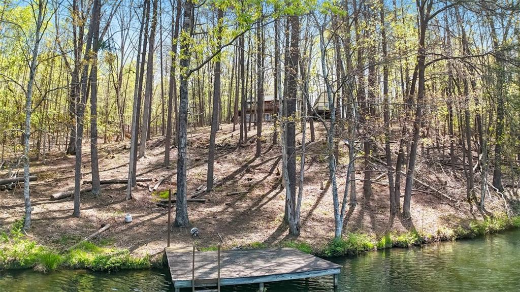 784 Cedar Hollow Road, Cleveland, Georgia image 17