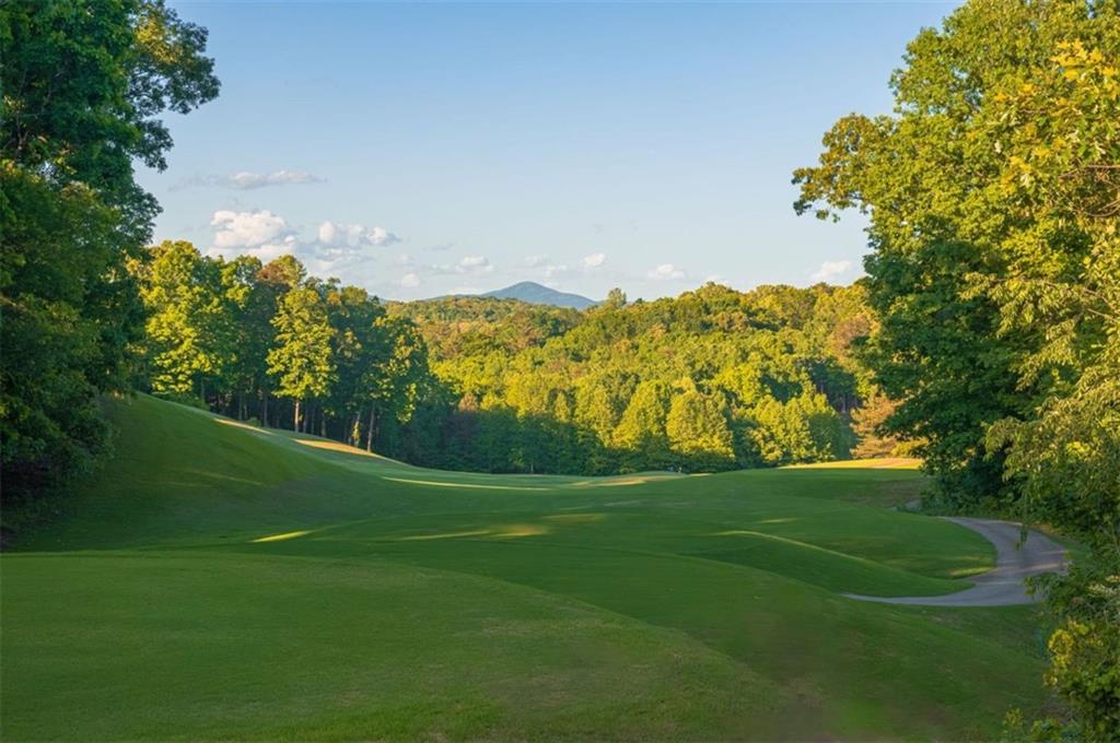 472 River Overlook Road, Dawsonville, Georgia image 14