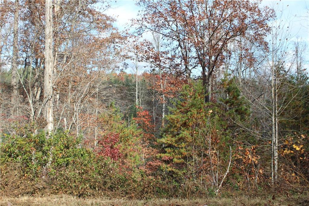 33 Pleasant Meadows, Blairsville, Georgia image 9