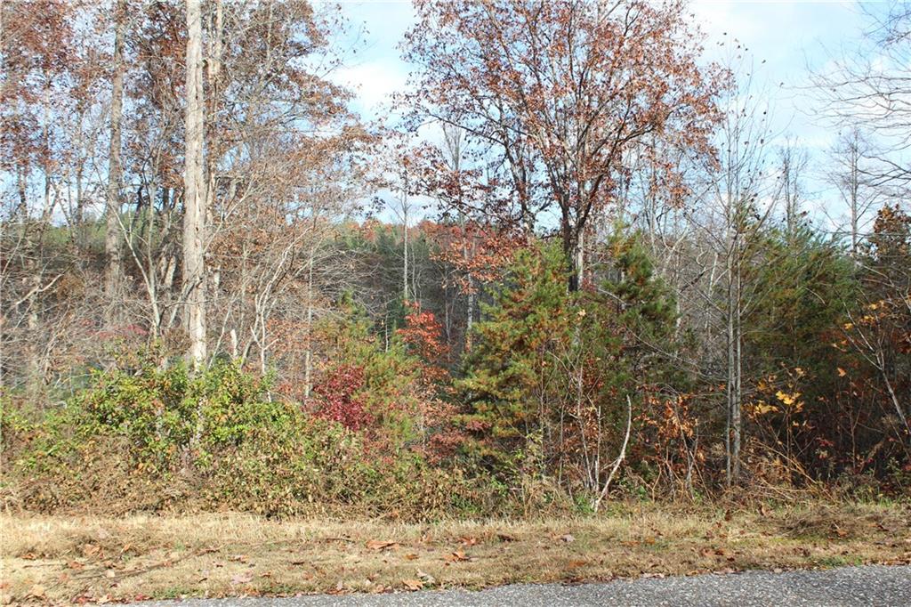 33 Pleasant Meadows, Blairsville, Georgia image 3