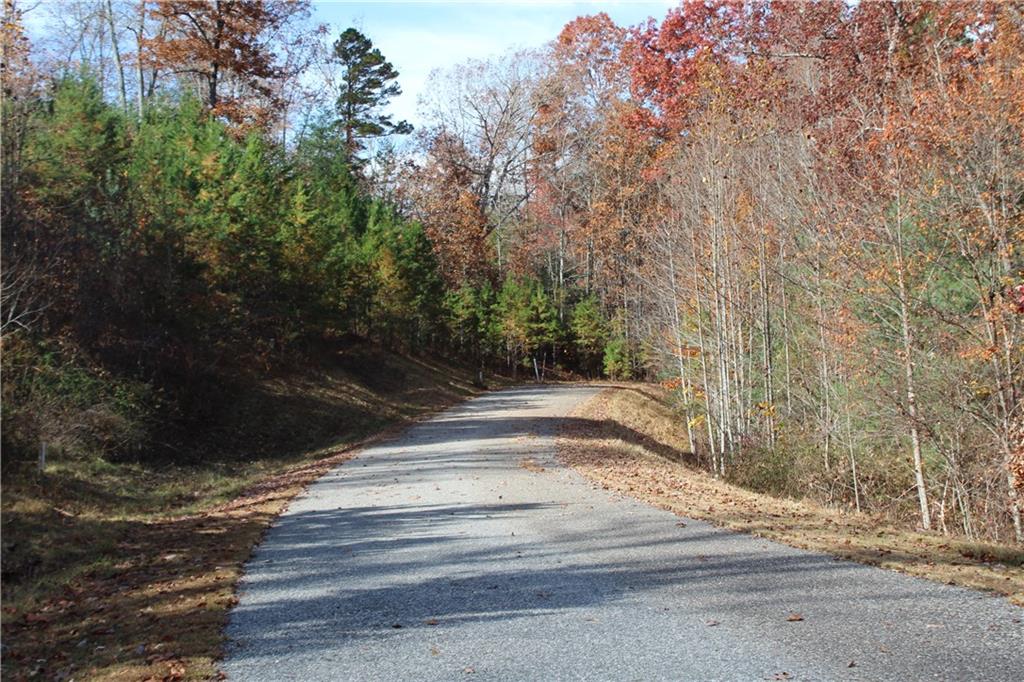 33 Pleasant Meadows, Blairsville, Georgia image 8