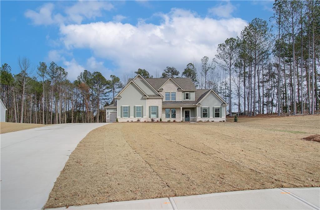 81 Homesite Slick Court, Senoia, Georgia image 1