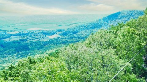 Vacant Land For Sale - 157 Highway<br/> Menlo, GA 30731