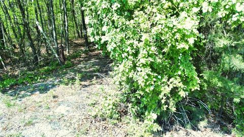 0 157 Highway Menlo GA 30731