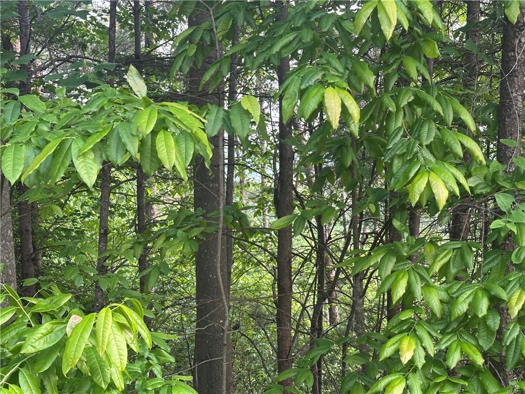 Lot 28 Crown Mountain Way, Dahlonega, Georgia image 3