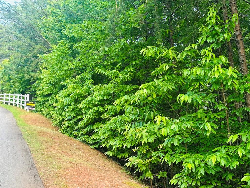Lot 28 Crown Mountain Way, Dahlonega, Georgia image 2