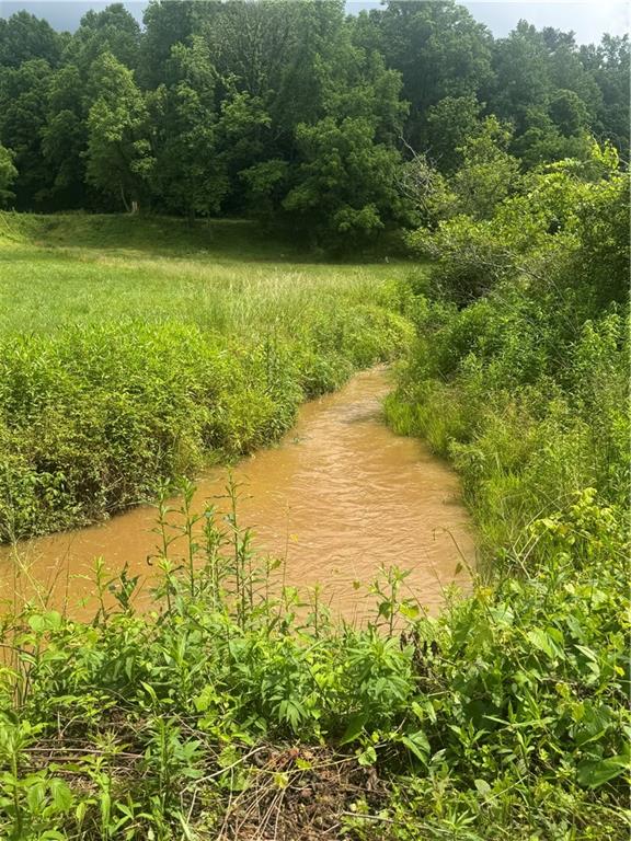 Natural waterway traversing a verdant landscape with dense foliage