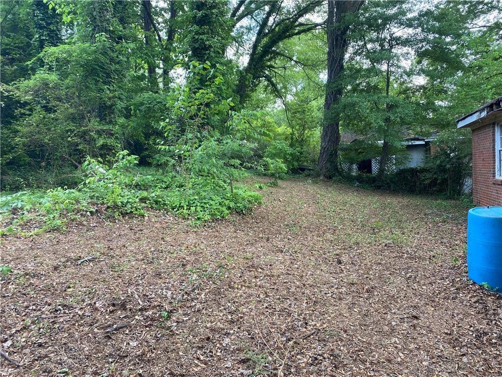 2545 Saint Patrick Street, Atlanta, Georgia image 17