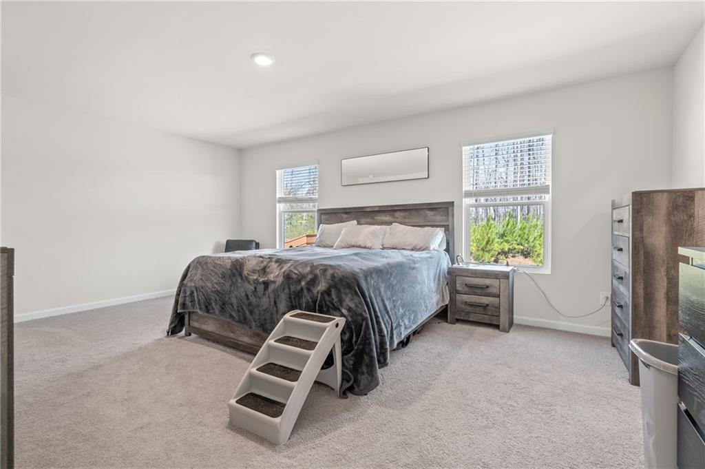 311 Ivy Chase Loop, Dallas, Georgia image 20