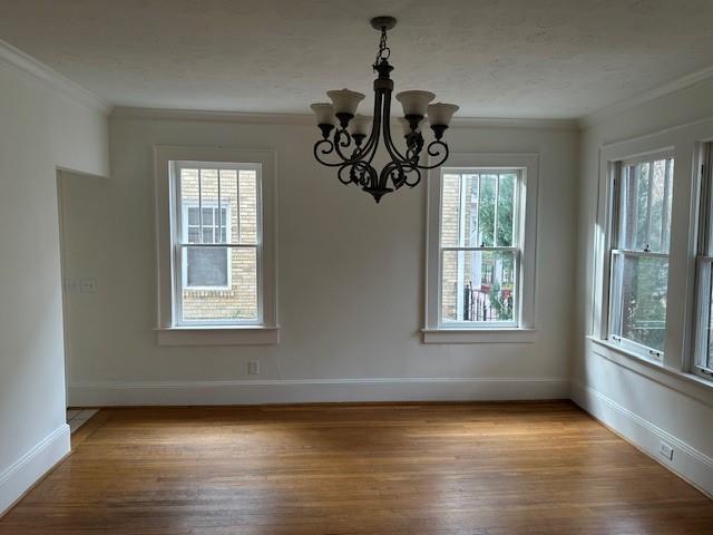 703 Penn Avenue NE 1