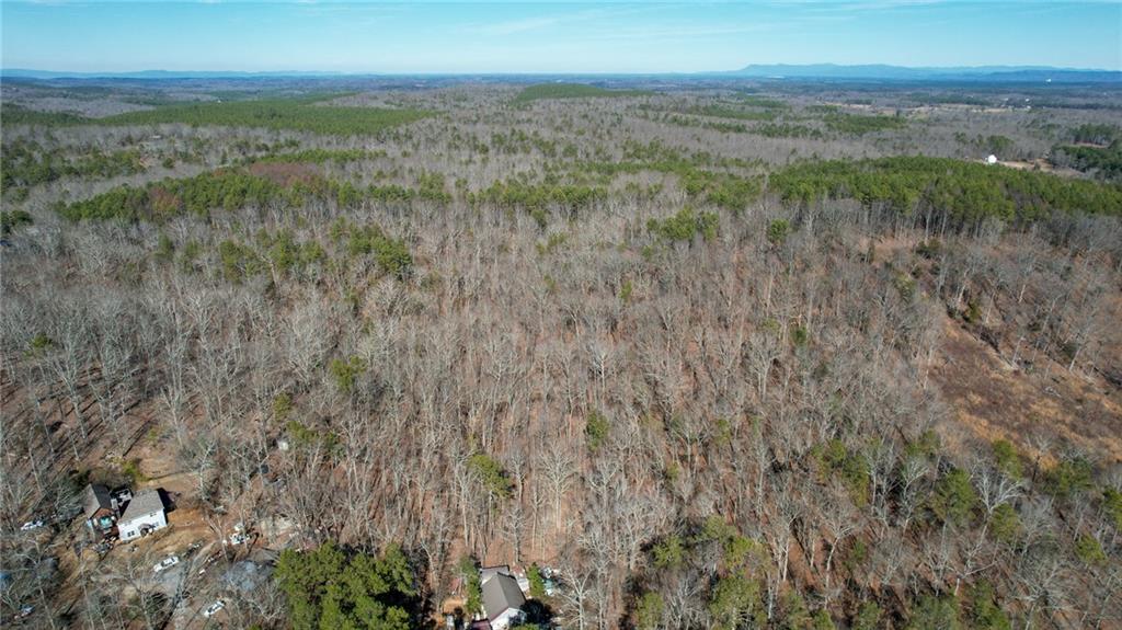 01 Bozeman Road, White, Georgia image 12