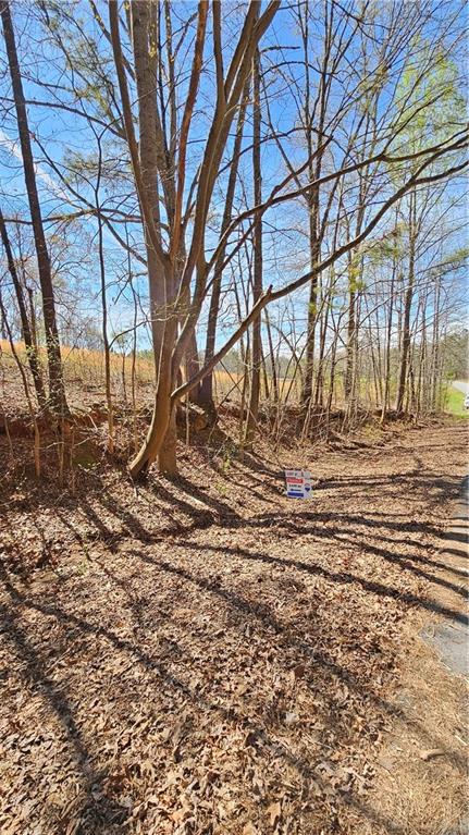 Lot 1 Snote Jones Road, Dallas, Georgia image 5