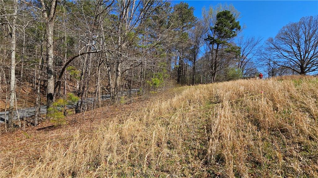 Lot 1 Snote Jones Road, Dallas, Georgia image 7