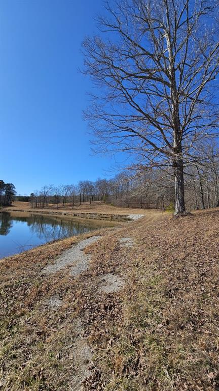 Lot 1 Snote Jones Road, Dallas, Georgia image 11