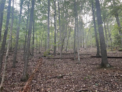 Vacant Land For Sale - Rockfence Road<br/> Adairsville, GA 30103