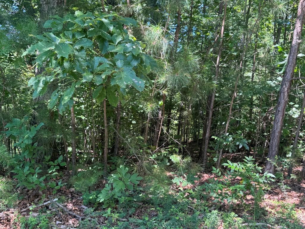 Your North?Georgia mountain dream begins on this buildable 1.52-acre homesite in the sought-after?Carters?Overlook?II section of gated Talking?Rock?Creek?Resort (TRCR), Ranger, GA. Tucked just inside the main Hwy?136 gate for easy year-round access, Lot?9 fronts a paved road, has underground power at the street, simply choose your house plan and start building. A canopy of hardwoods, towering pines and lush native ferns blankets the gently rolling terrain, creating instant privacy with no neighboring homes in sight—the perfect backdrop for a weekend cabin, full-time retreat, or high-demand vacation rental.