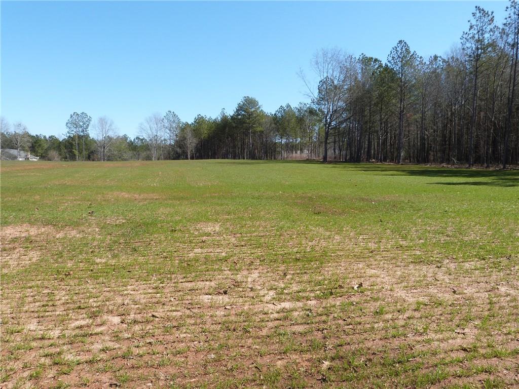 Hwy 186, Good Hope, Georgia image 11