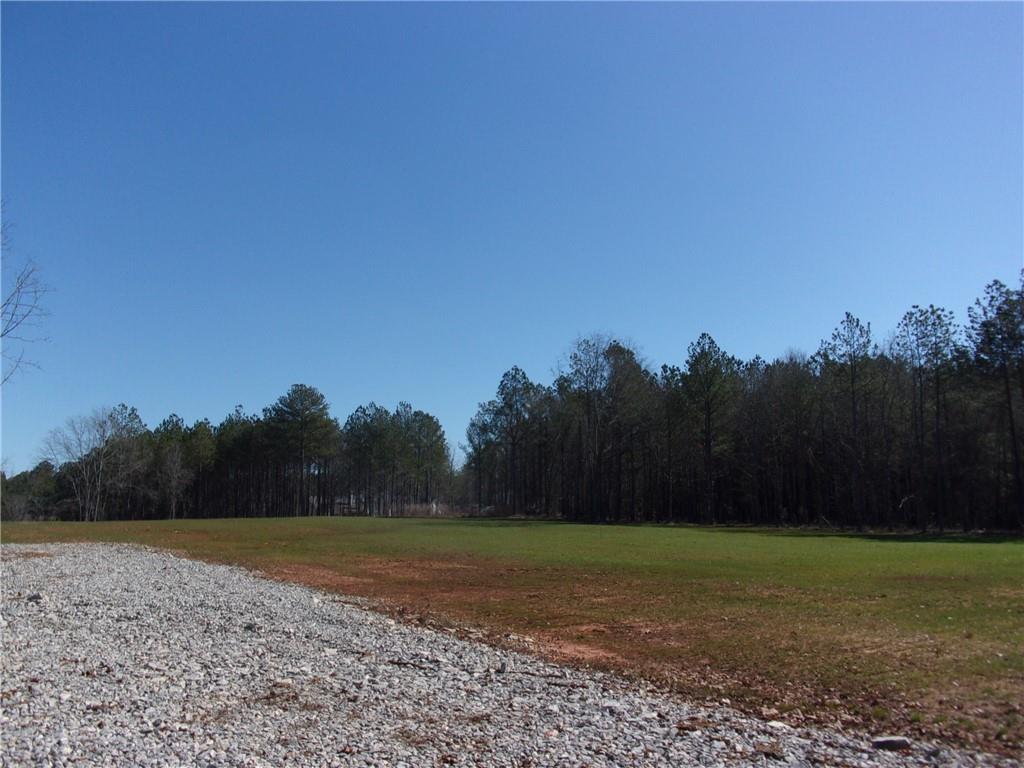 Hwy 186, Good Hope, Georgia image 8