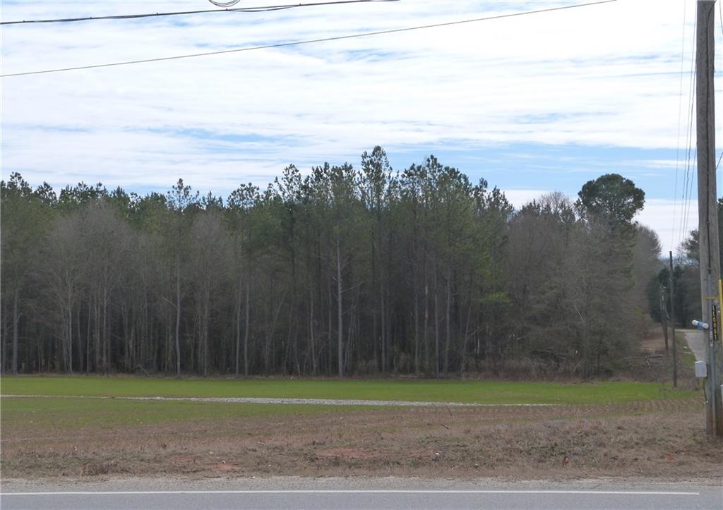 Hwy 186, Good Hope, Georgia image 13