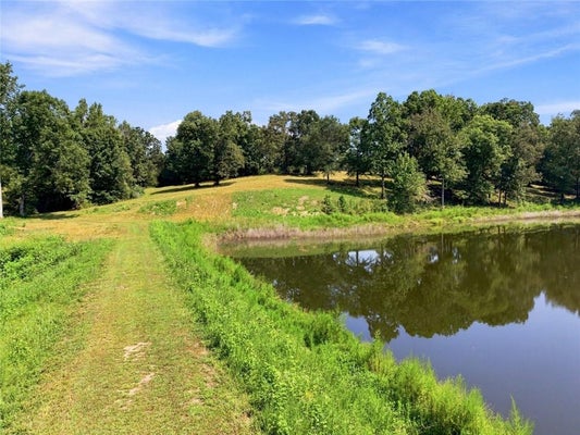 568 FRANKLIN GOLDMINE RD, CUMMING, GA 30028 - Image c7e0eb93ad938cd755fdefd71c7f3ee7/1206803378