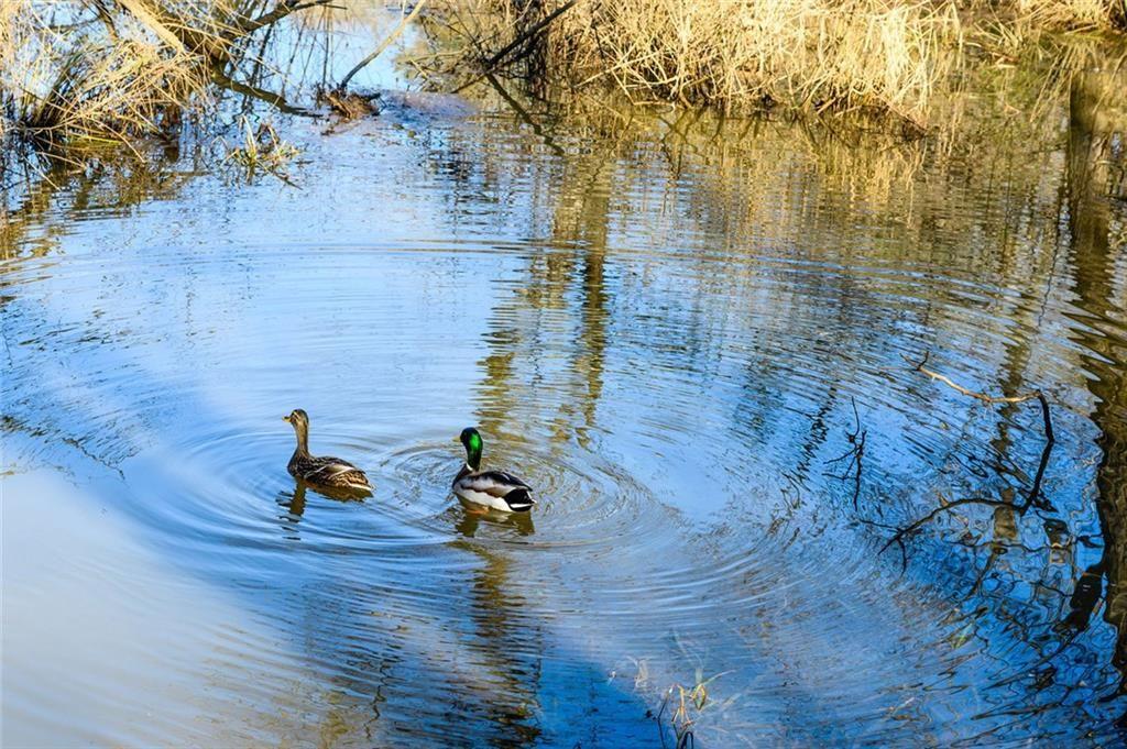 CHARTWELL - Residential