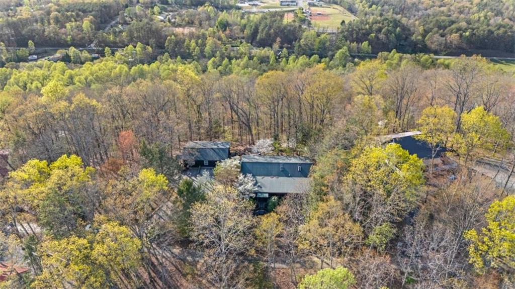 299 Eagles Nest Mountain Road, Blue Ridge, Georgia image 10