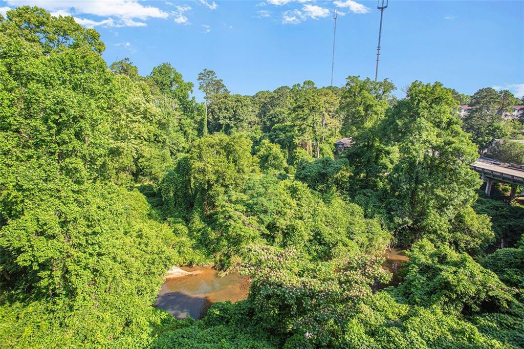1628 Briarcliff Road #15, Atlanta, Georgia image 20