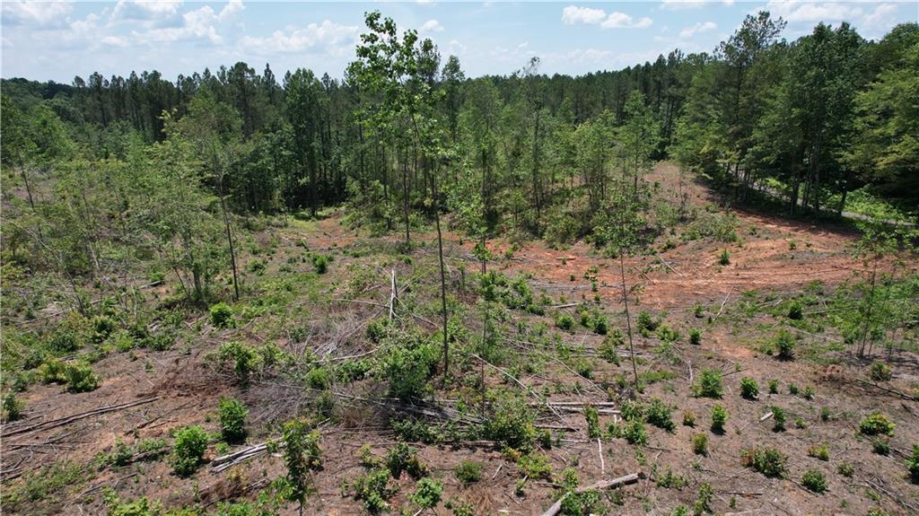 Acreage is perfect for an private estate home, farm or family compound. With gently rolling terrain, open skies, and wide-open potential, this land is ready for your vision. It offers both seclusion and accessibility — a unique find in North Georgia