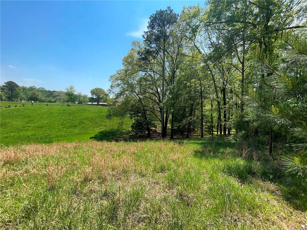 721 Pleasant Union Road, Canton, Georgia image 11