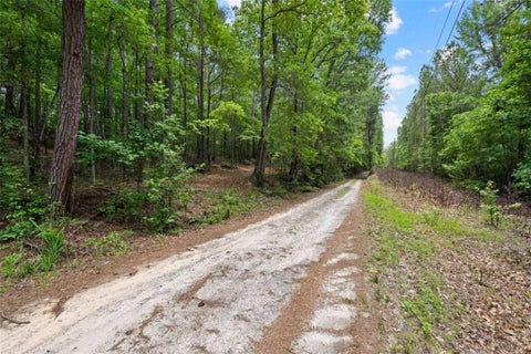 Vacant Land For Sale - Terry Road<br/> Fairburn, GA 30213