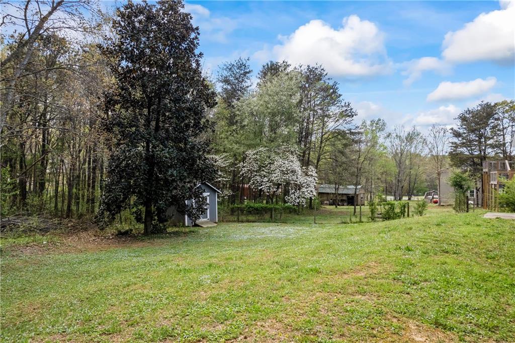 65 Indian Springs Drive, Rydal, Georgia image 40