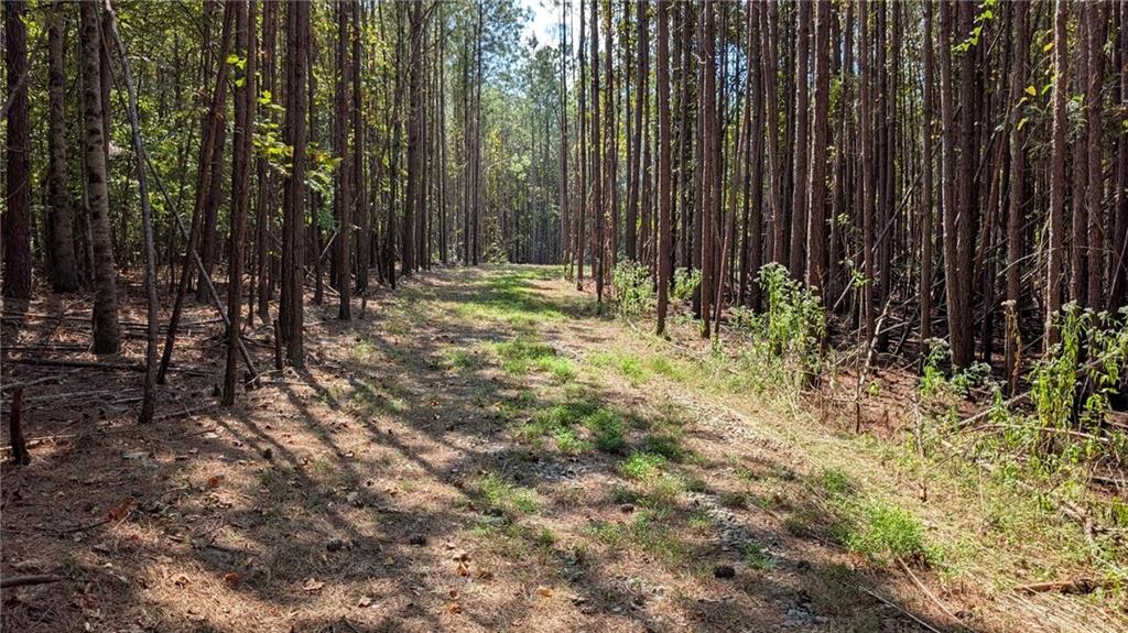 Photo of 1158 Ballard Rd Rd, Ball Ground, GA 30107 (MLS # 7840951)