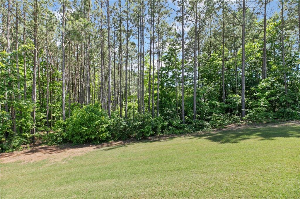 8050 Tristan Way Way, Whitesburg, Georgia image 38