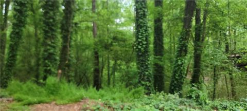 Vacant Land For Sale - Shadowbrook Drive<br/> Marietta, GA 30062