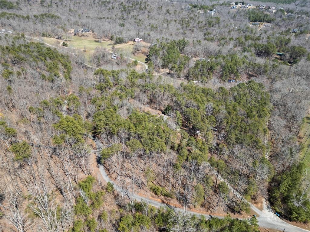 796 Skidder Way, Jasper, Georgia image 43