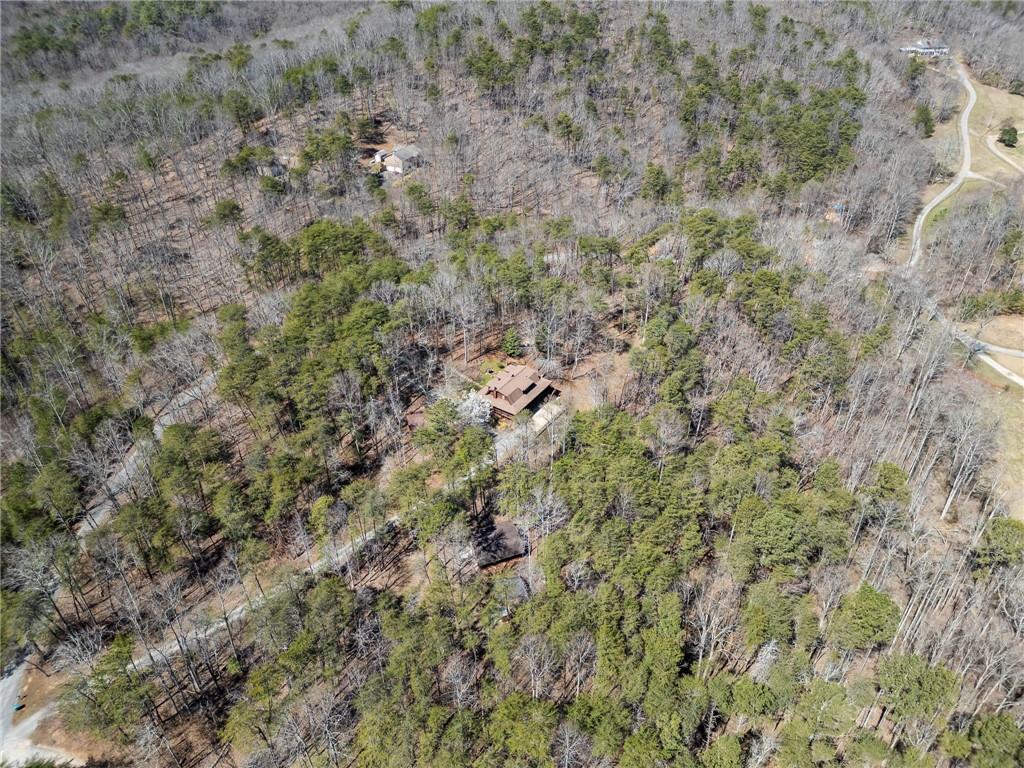 796 Skidder Way, Jasper, Georgia image 46