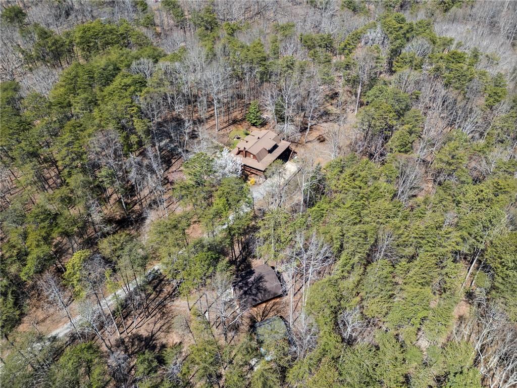 796 Skidder Way, Jasper, Georgia image 40