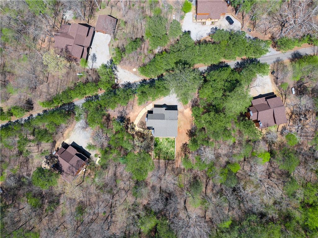 161 Windy Valley Trail, Blue Ridge, Georgia image 50