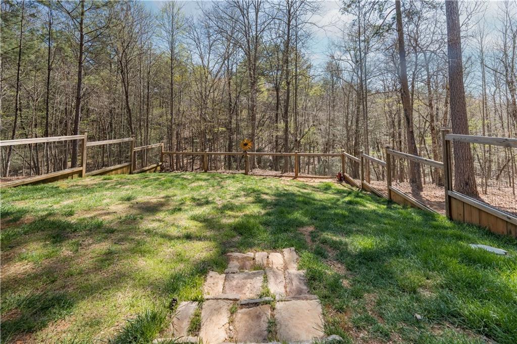 161 Windy Valley Trail, Blue Ridge, Georgia image 41