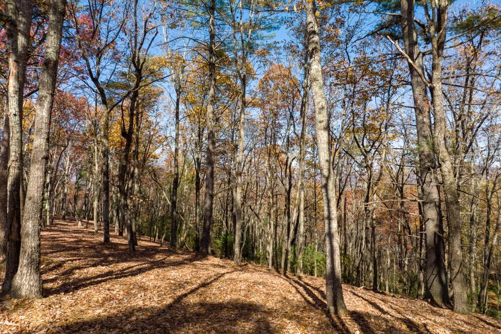 LOT 40 Preserve Trail, Ellijay, Georgia image 13