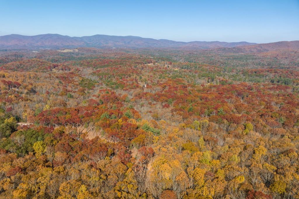 LOT 40 Preserve Trail, Ellijay, Georgia image 19