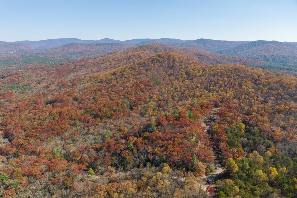 LOT 40 Preserve Trail, Ellijay, Georgia image 21