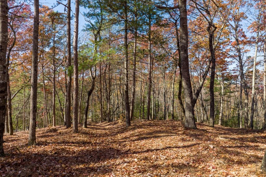 LOT 40 Preserve Trail, Ellijay, Georgia image 9