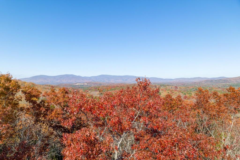 LOT 40 Preserve Trail, Ellijay, Georgia image 8