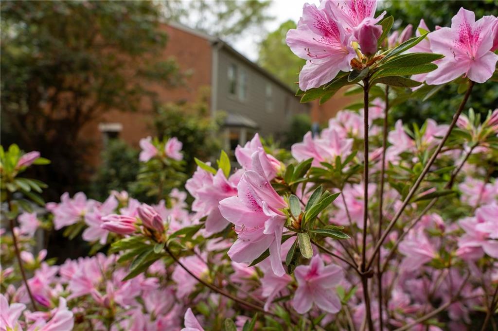 1143 Morningside Place, Atlanta, Georgia image 44
