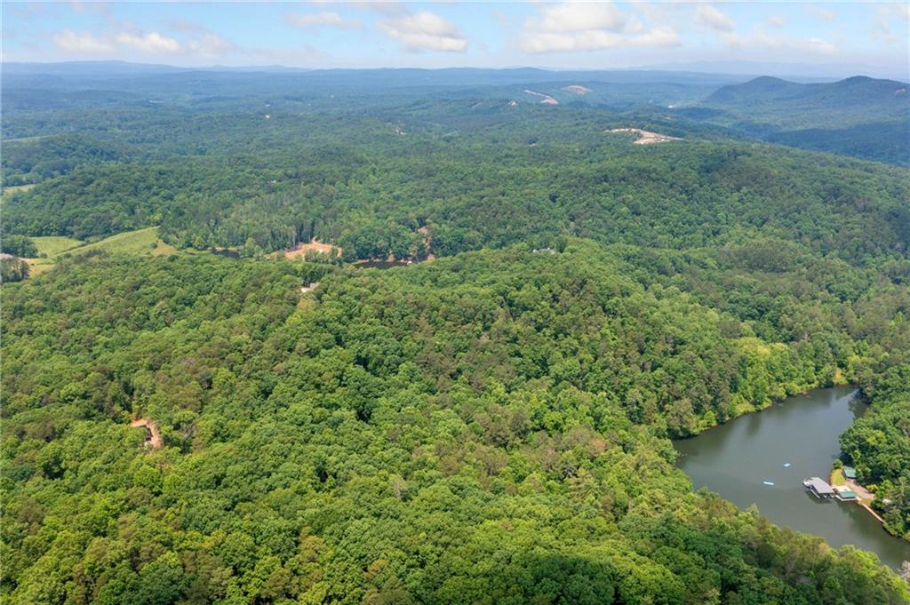 Meadowlands Drive, Talking Rock, Georgia image 11