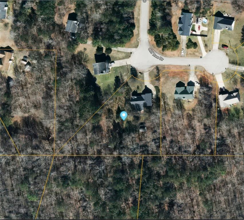 484 Old Tree Drive, Jackson, Georgia image 37