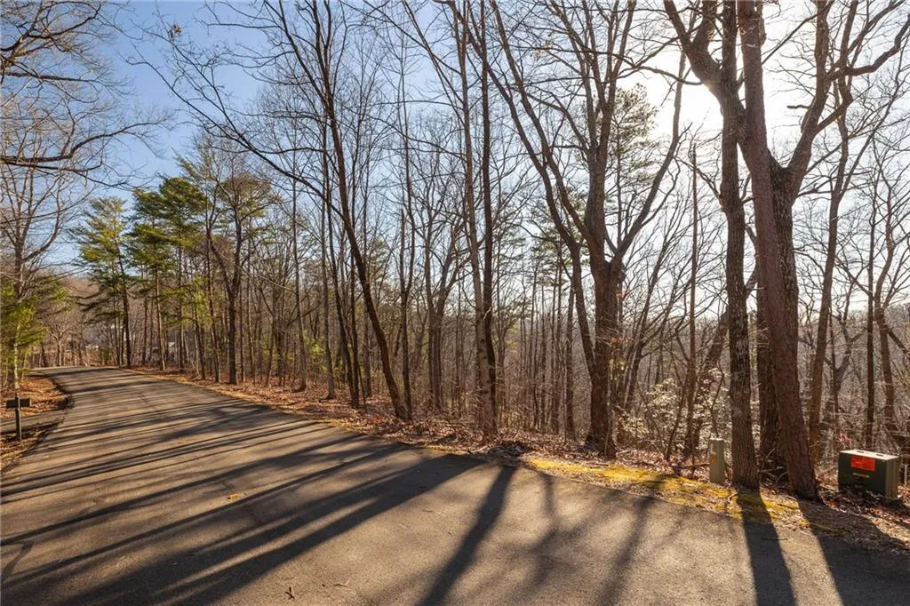 Jasper, Georgia 30143, United States, ,Land,Active,7651